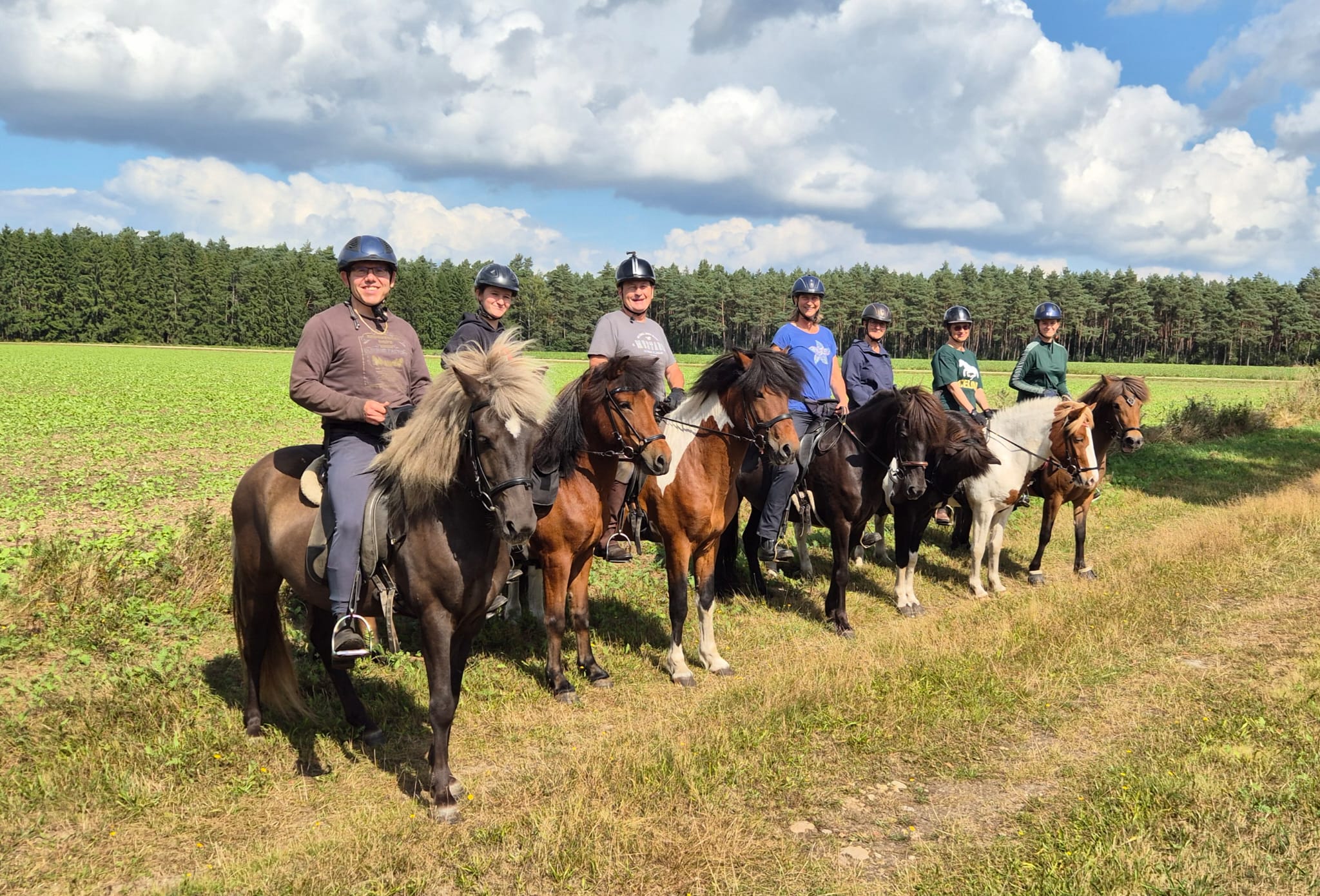 Reitergruppe auf Islandpferden am Feldrand bei einem Ausritt