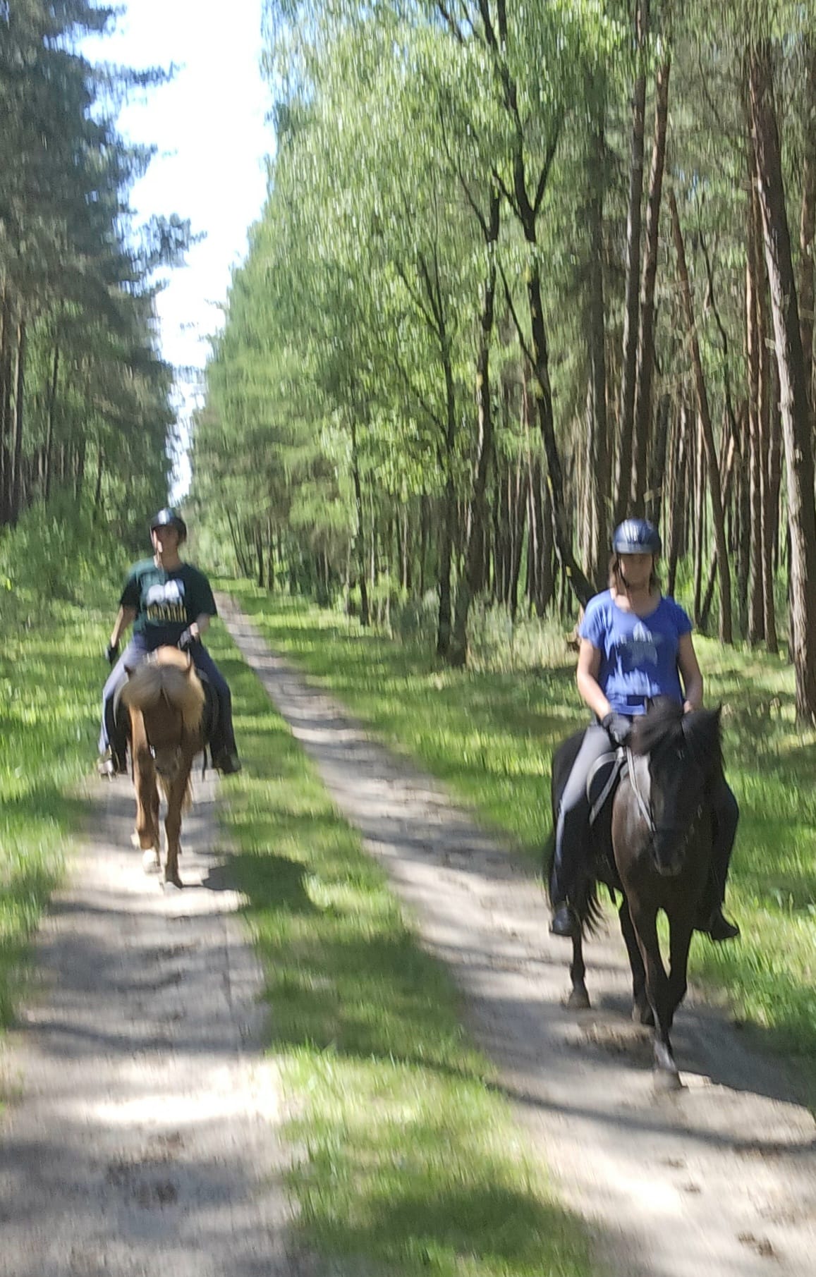 Zwei Reiterinnen bei einem geführten Ausritt durch den Wald