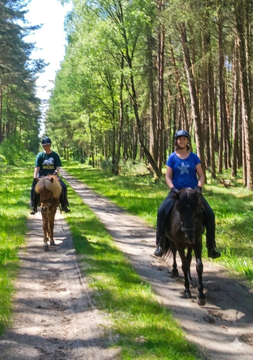 Zwei Reiter auf Islandpferden auf einem sonnigen Waldweg