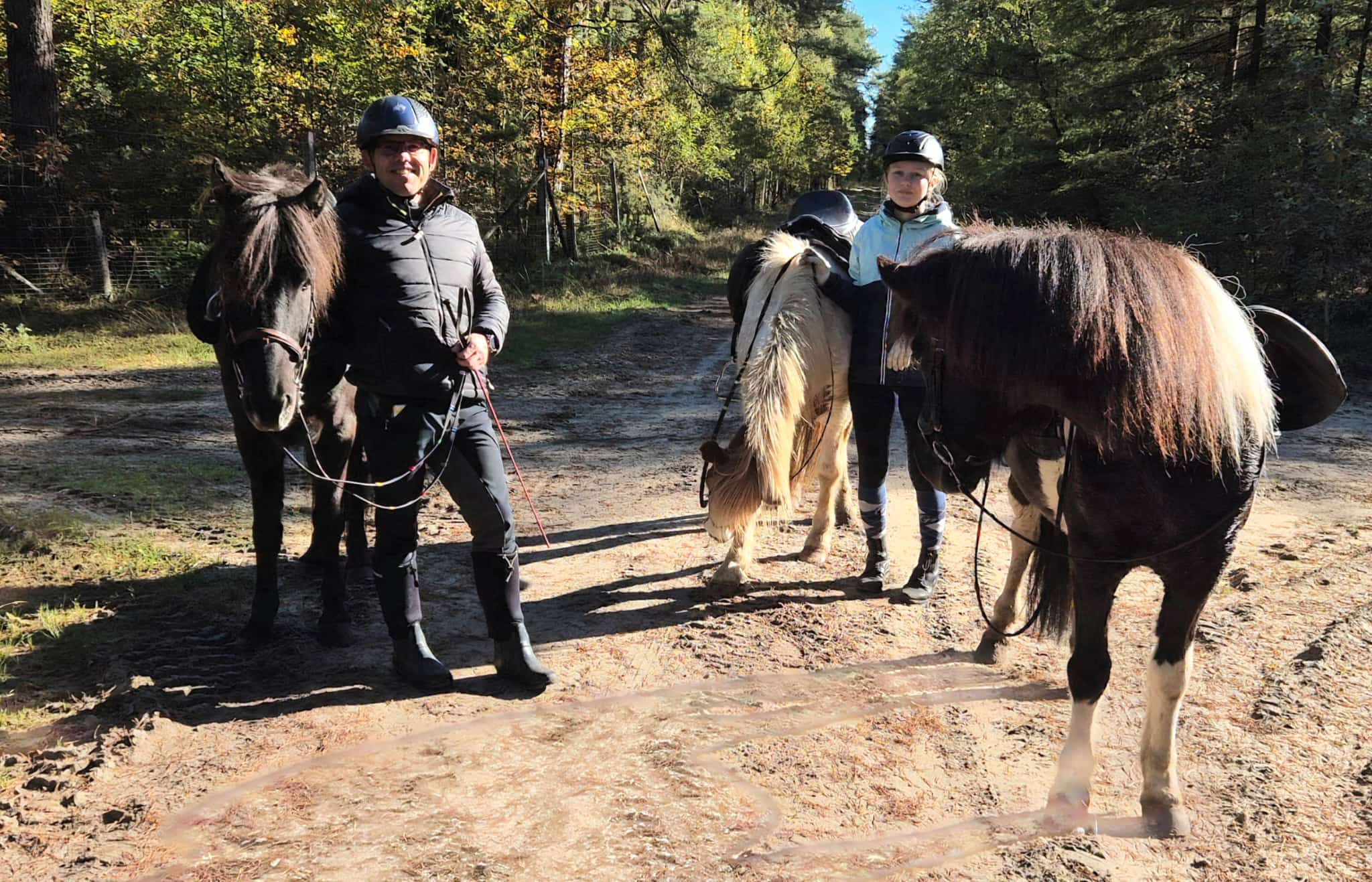 Ausritt-Gruppe mit Islandpferden am Waldrand