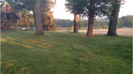 Weite von Hof Osterheide im goldenen Abendlicht