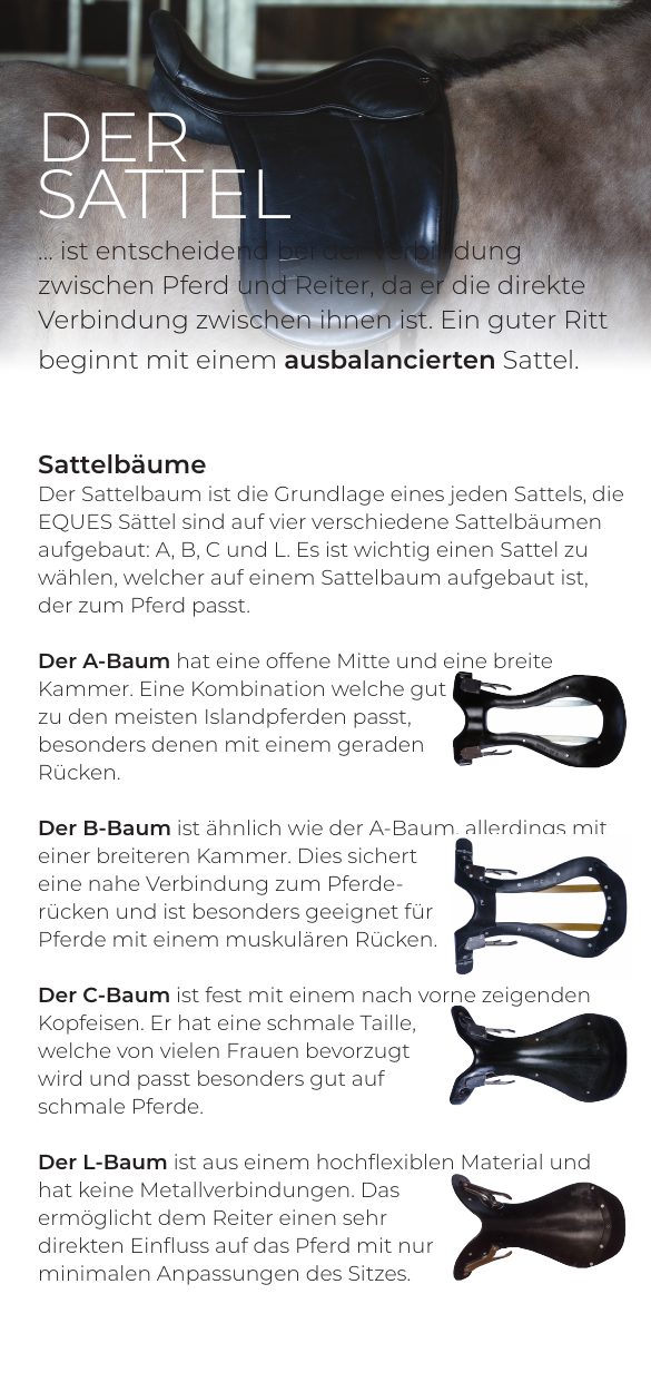 Eques-Broschüre „Der Sattel", Seite 2 von 6