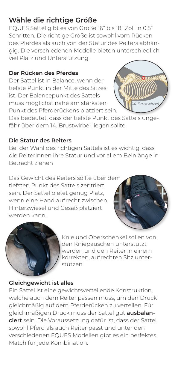 Eques-Broschüre „Der Sattel", Seite 5 von 6